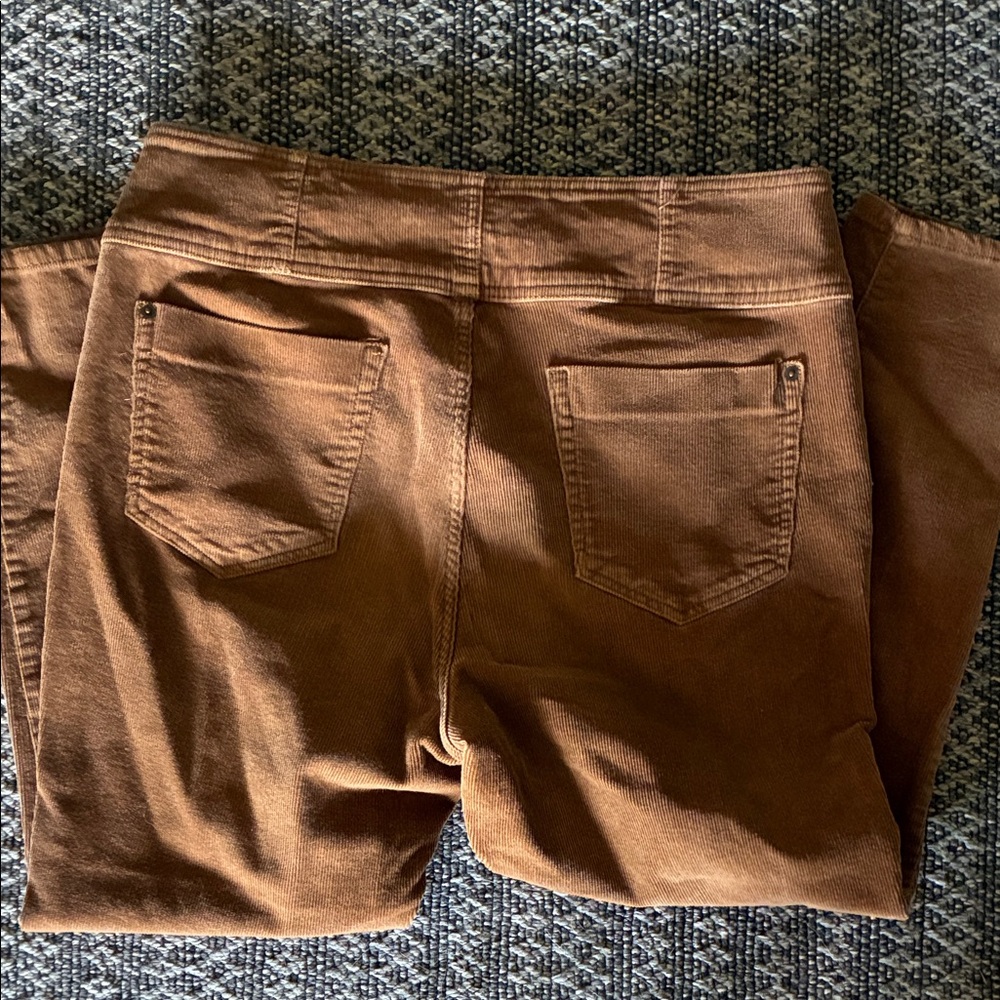 High-Rise Sculpting Skinny Corduroy Cotton Pant Beautiful Brown Size 19 Worn 1x - Picture 3 of 5